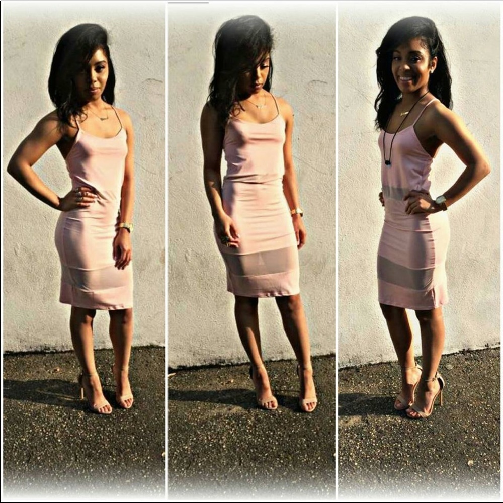 Pastel  Pink and sheer dress